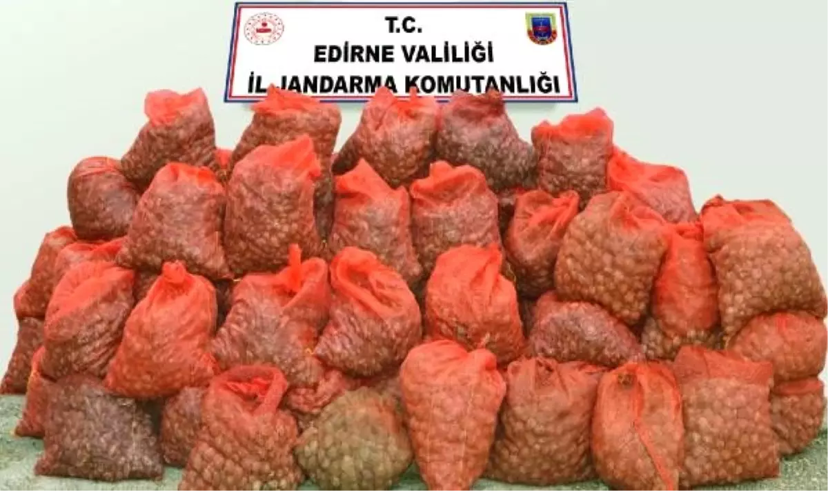 Keşan\'da 1 ton 350 kilo kaçak midye ele geçirildi