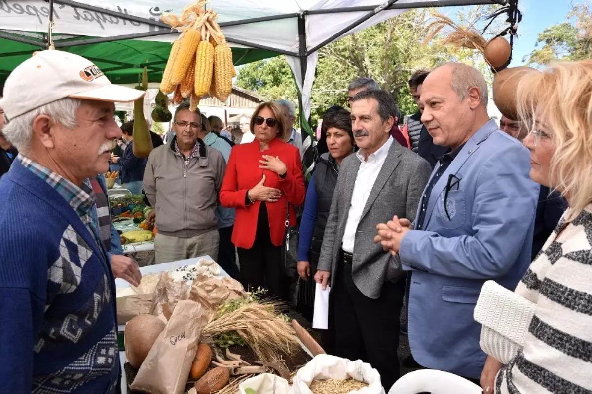 Kozkayı\'da şenlik coşkusu