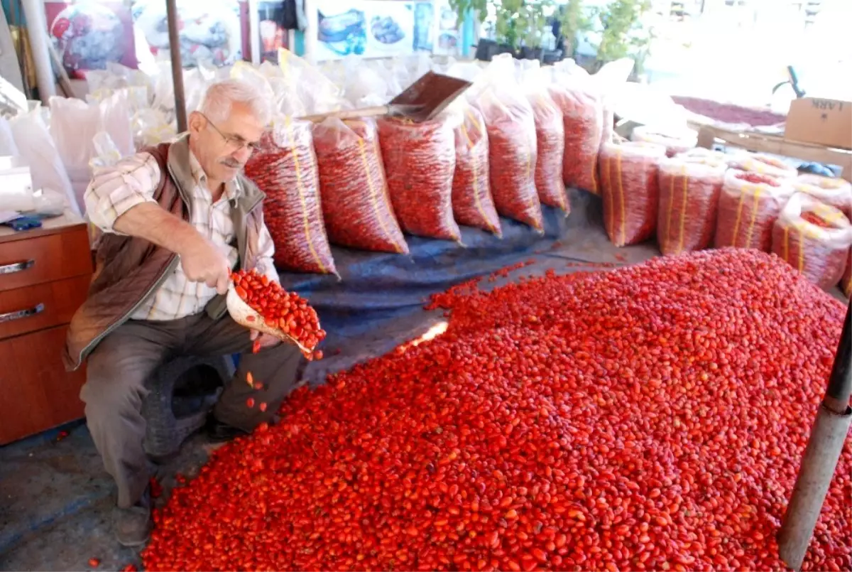 Kuşburnu bol olunca fiyatı düştü