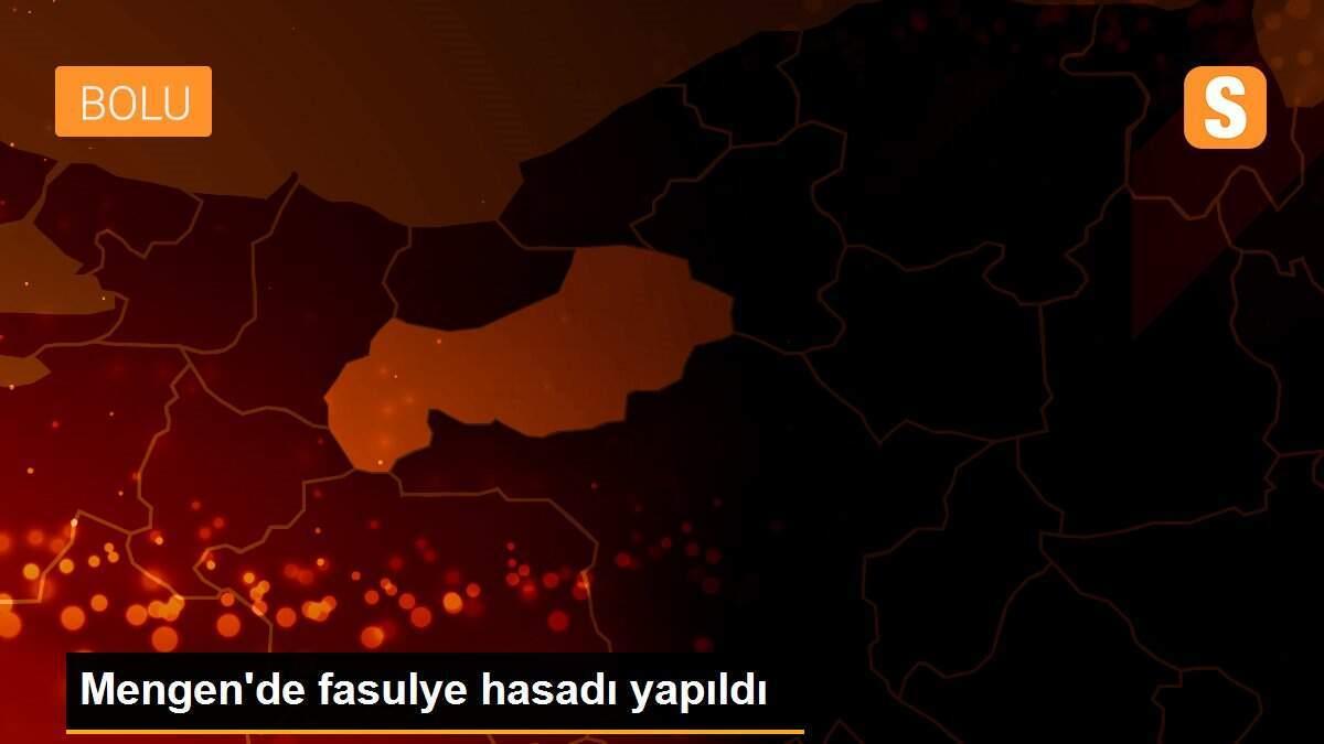 Mengen\'de fasulye hasadı yapıldı