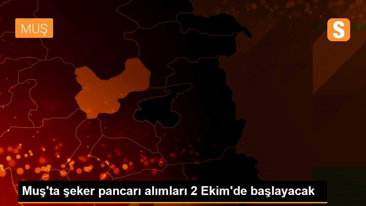 Muş\'ta şeker pancarı alımları 2 Ekim\'de başlayacak