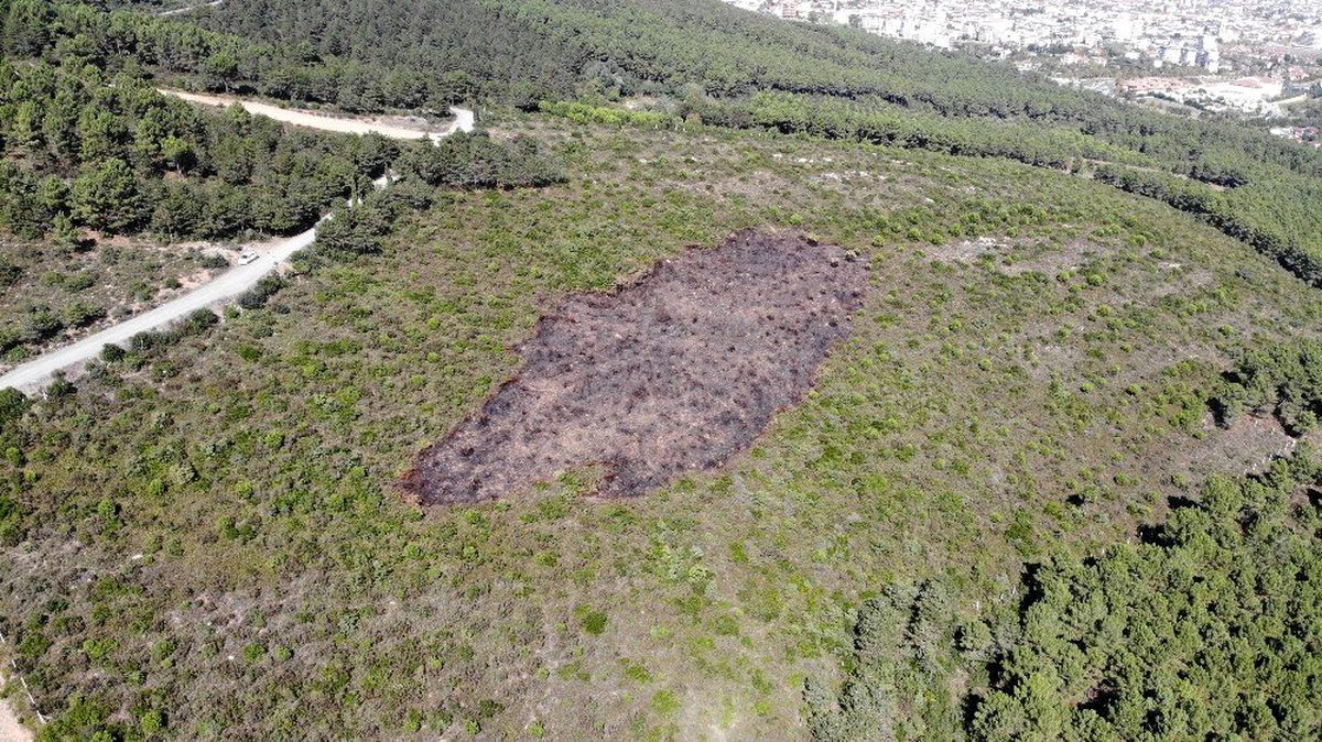 (Özel) Aydos Ormanı\'nda kundaklama sonucunda yanan ormanlık alandaki tahribat havadan görüntülendi