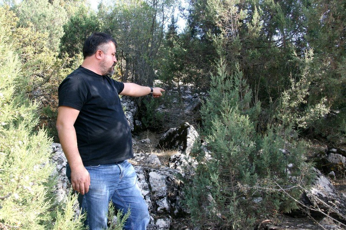 (Özel) Türü tehlike altında olan vaşağı yaralı halde bulan hayvan sever o anları anlattı
