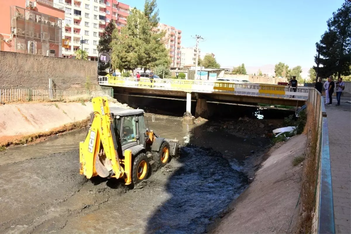 Zergan deresi çöp yatağına döndü