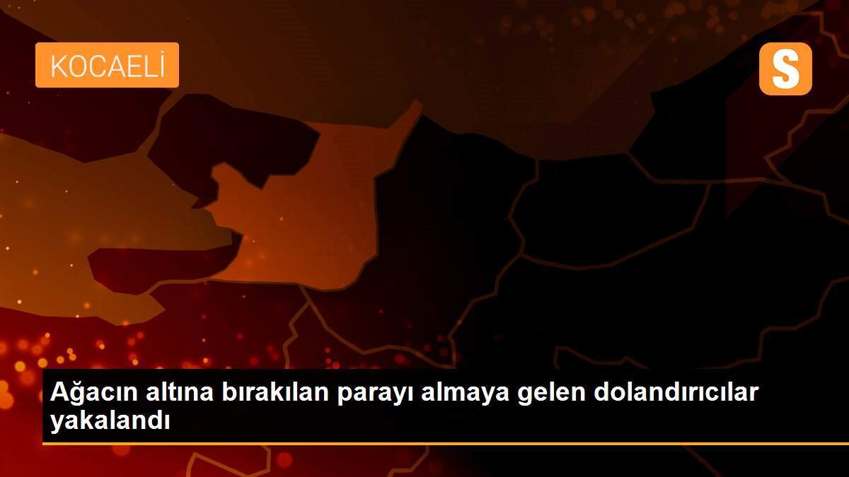 Ağacın altına bırakılan parayı almaya gelen dolandırıcılar yakalandı