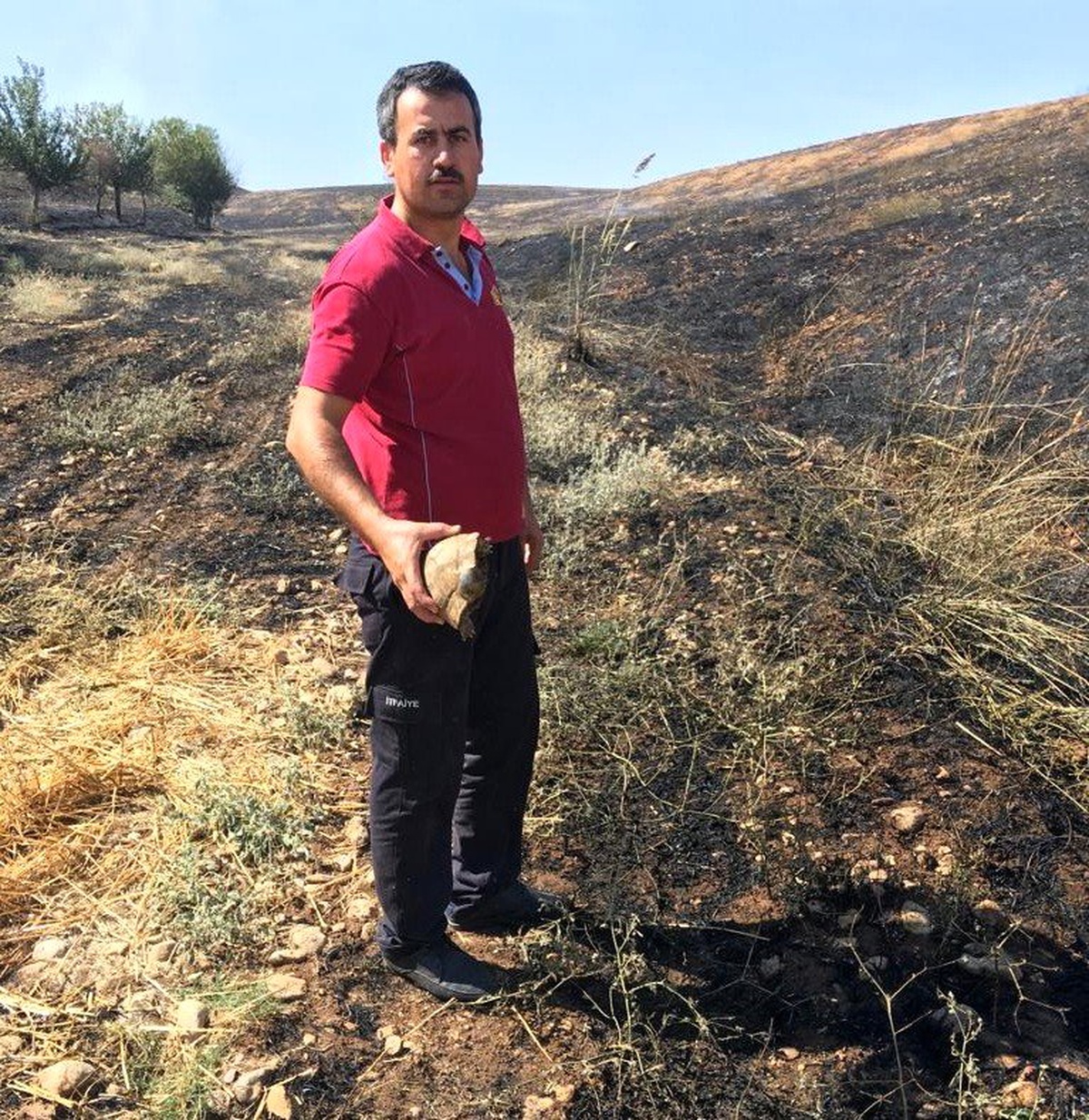 Anız yangının ortasında kalan kaplumbağa son anda kurtarıldı