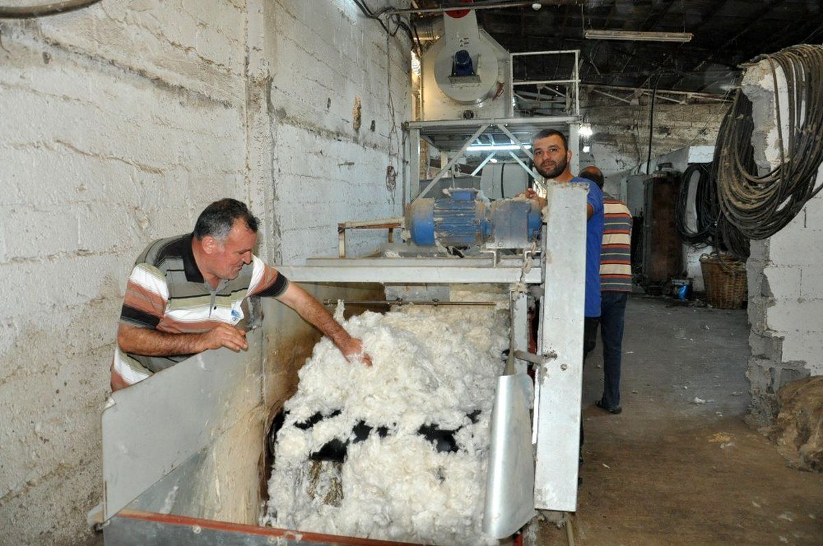 Çırçır fabrikasında "beyaz altın" mesaisi başladı
