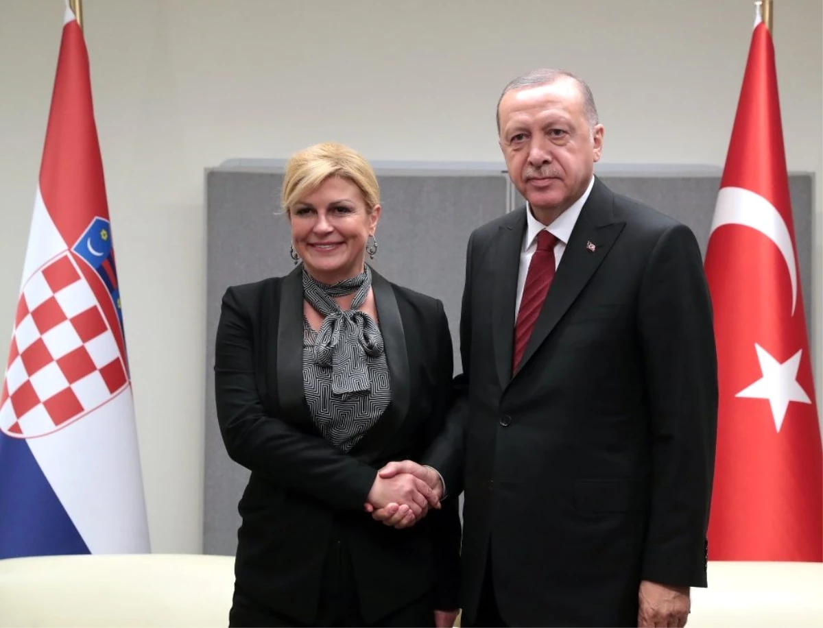 Cumhurbaşkanı Erdoğan, Hırvat mevkidaşı ile görüştü