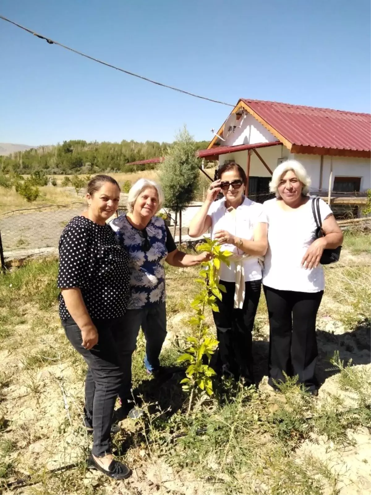 Divriği\'de yeniden ipek üretimi için kollar sıvandı