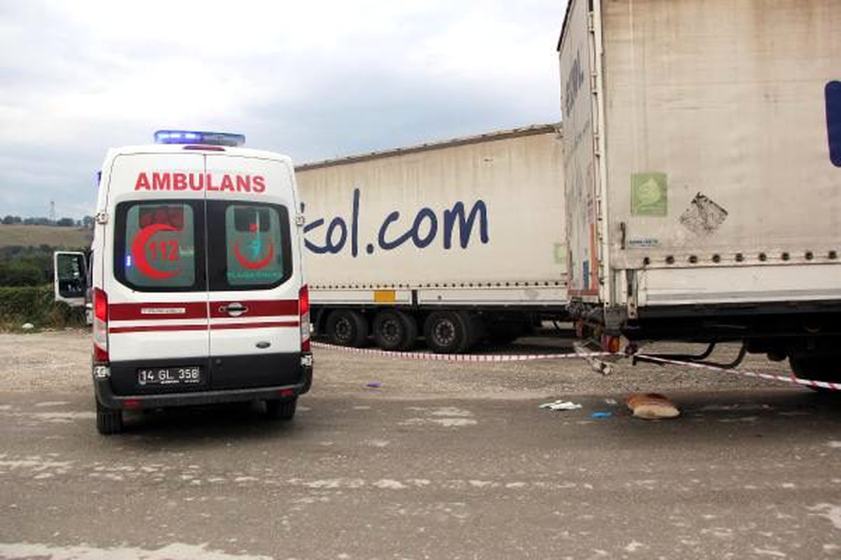 Geri manevra yapan tır\'ın çarpmasıyla yaralandı