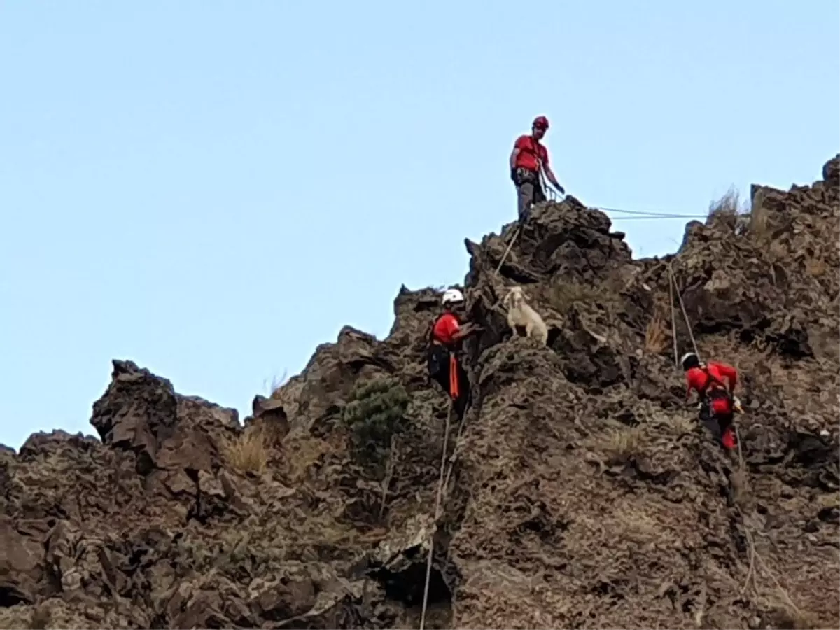 İtfaiye ve AKUT keçiyi kurtarmak için seferber oldu