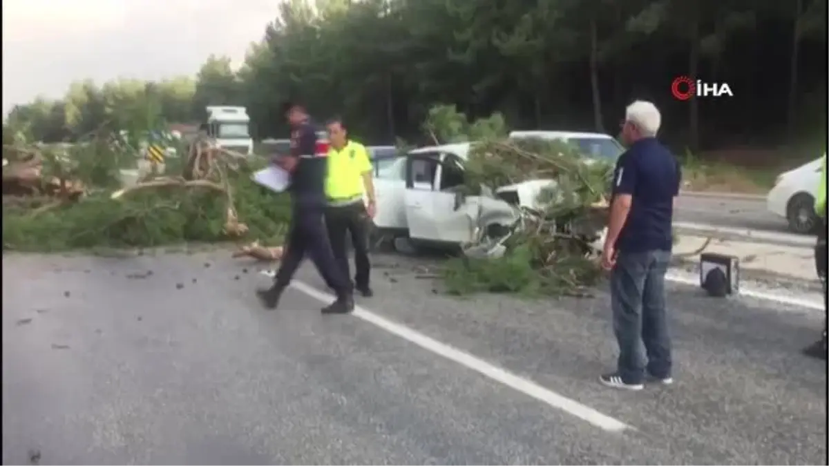 Karayolunda faciaya ramak kala... Polislerin içinde bulunduğu otomobilin üzerine çam ağacı devrildi