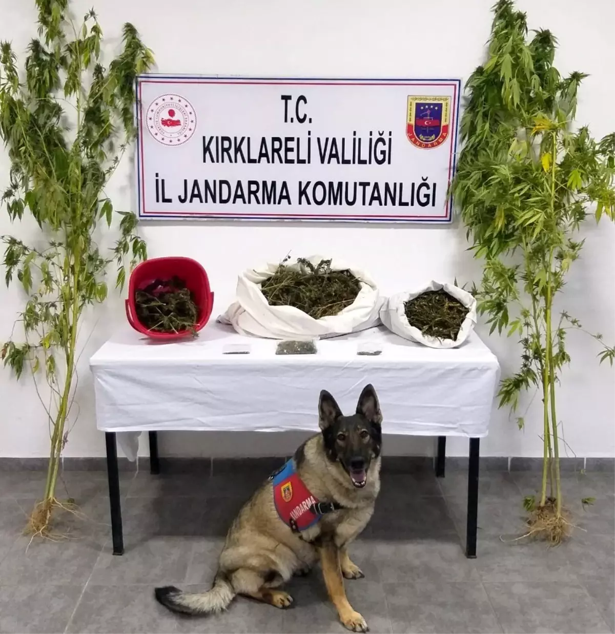 Kırklareli\'de 3 kilo 965 gram kubar esrar ele geçirildi