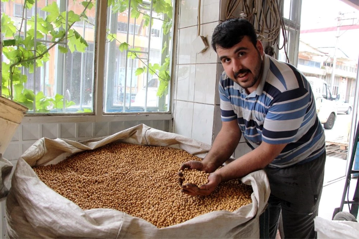 Kula leblebisi 16 farklı çeşidi ile dünyaya ihraç ediliyor