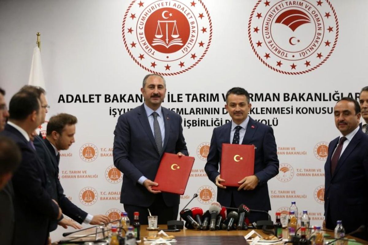 "Son 17 yılda 4,3 milyar fidanı toprakla buluşturduk"