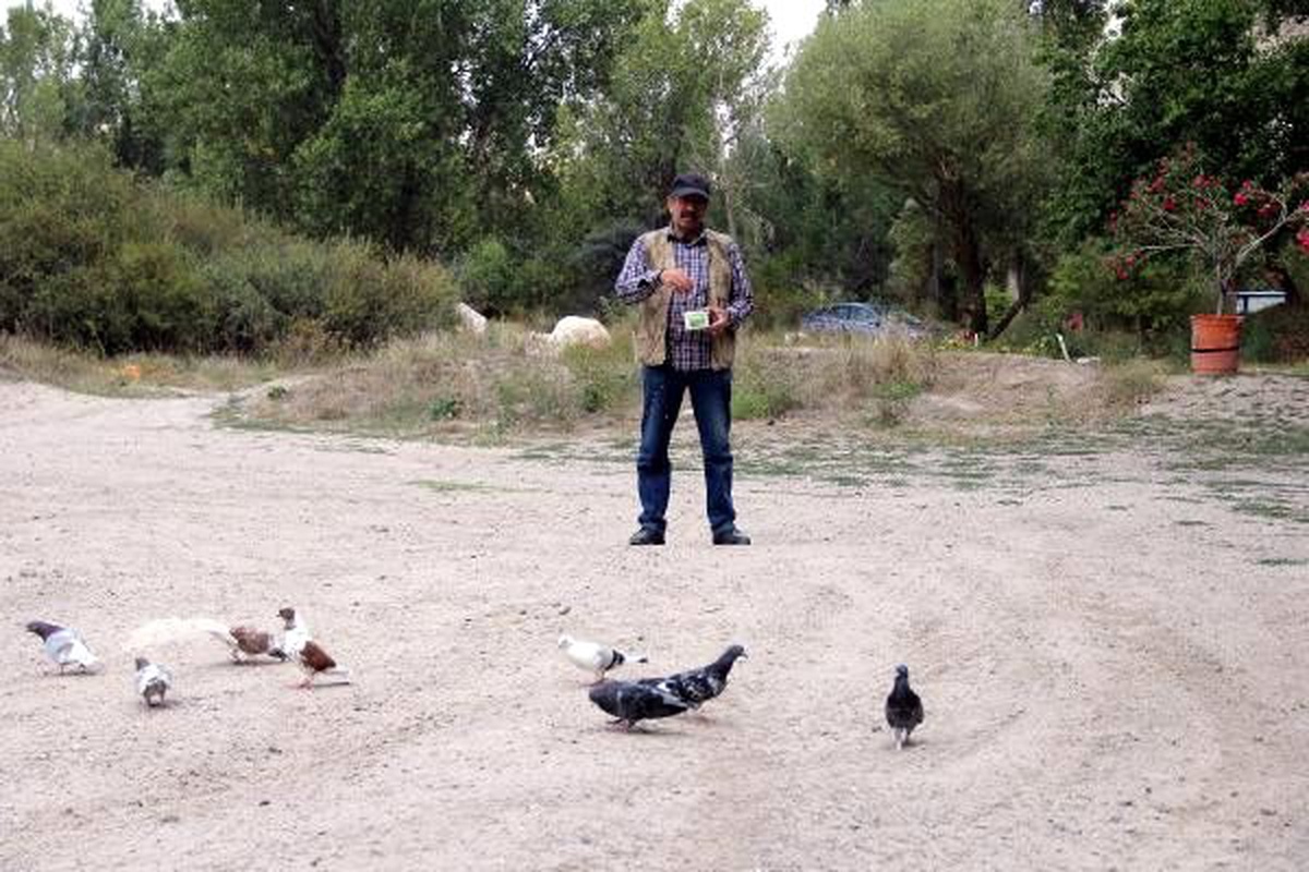 Tarihi vadide güvercin gübresiyle sebze yetiştiriyor