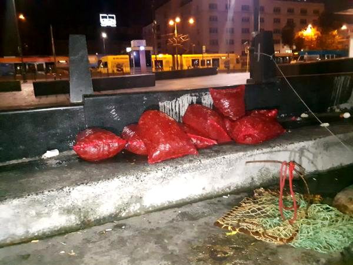 Zehir saçan midyeleri böyle topluyorlar