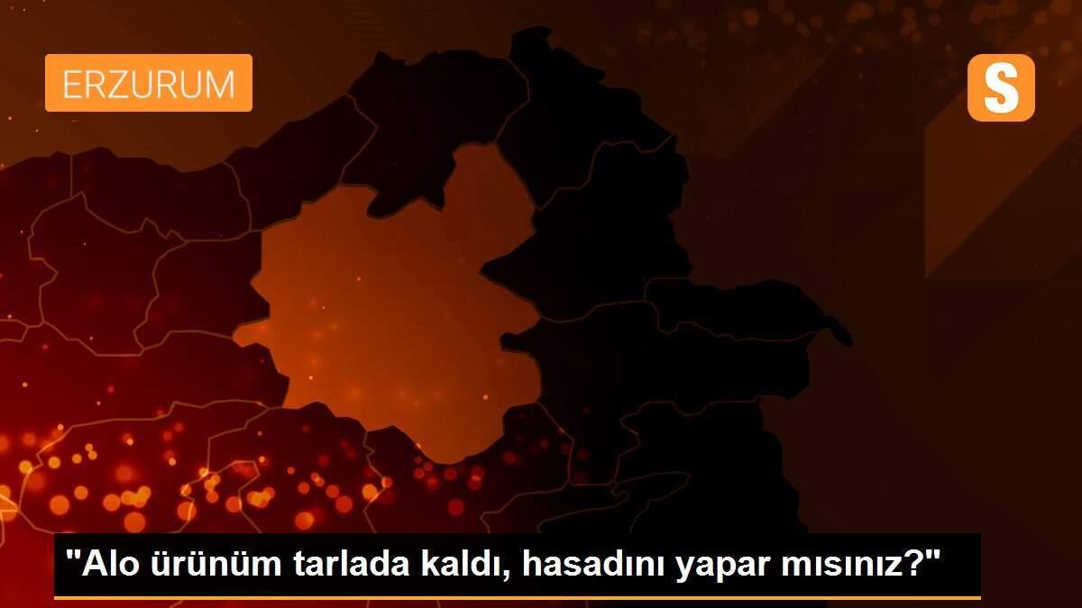 "Alo ürünüm tarlada kaldı, hasadını yapar mısınız?"