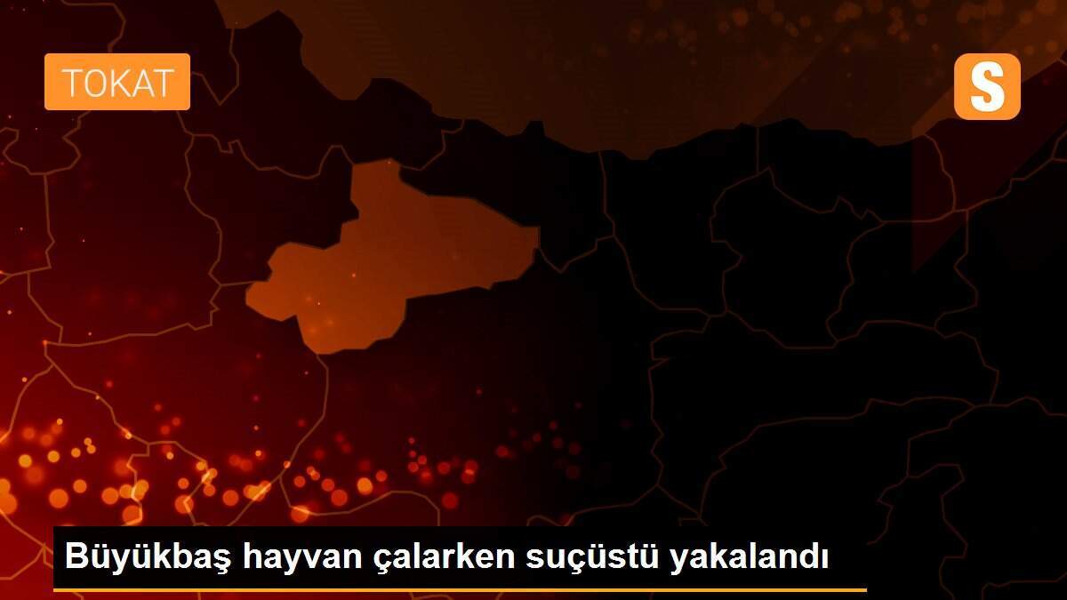 Büyükbaş hayvan çalarken suçüstü yakalandı