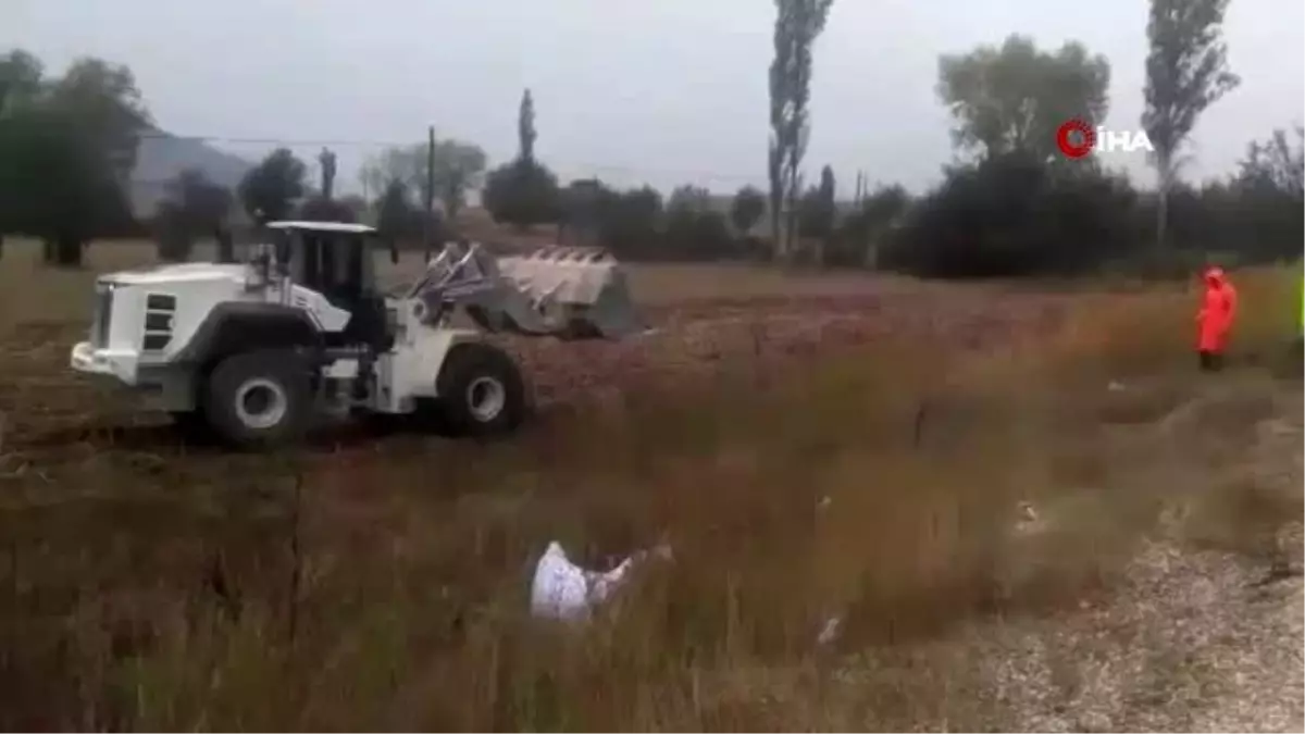 Çekirdek yüklü Tır devrildi, yol trafiğe kapandı