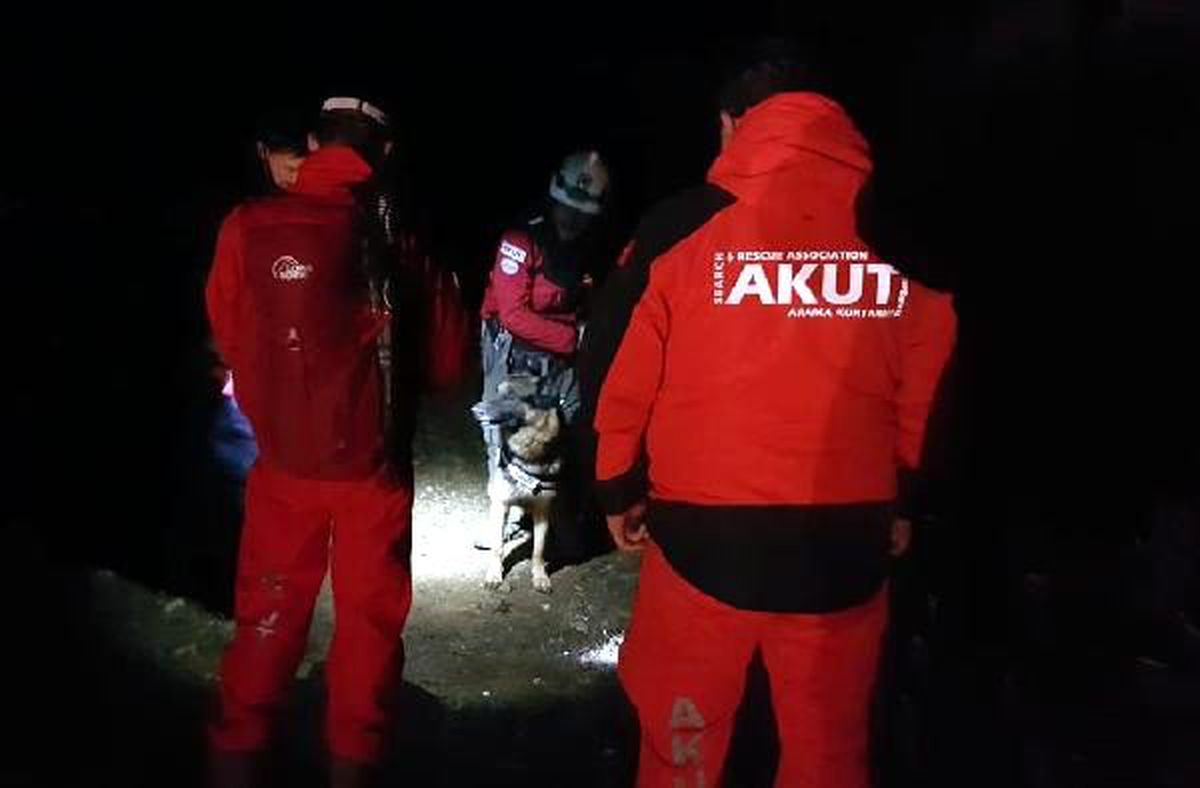 Çıra toplaya giden yaşlı adam ormanda kayboldu