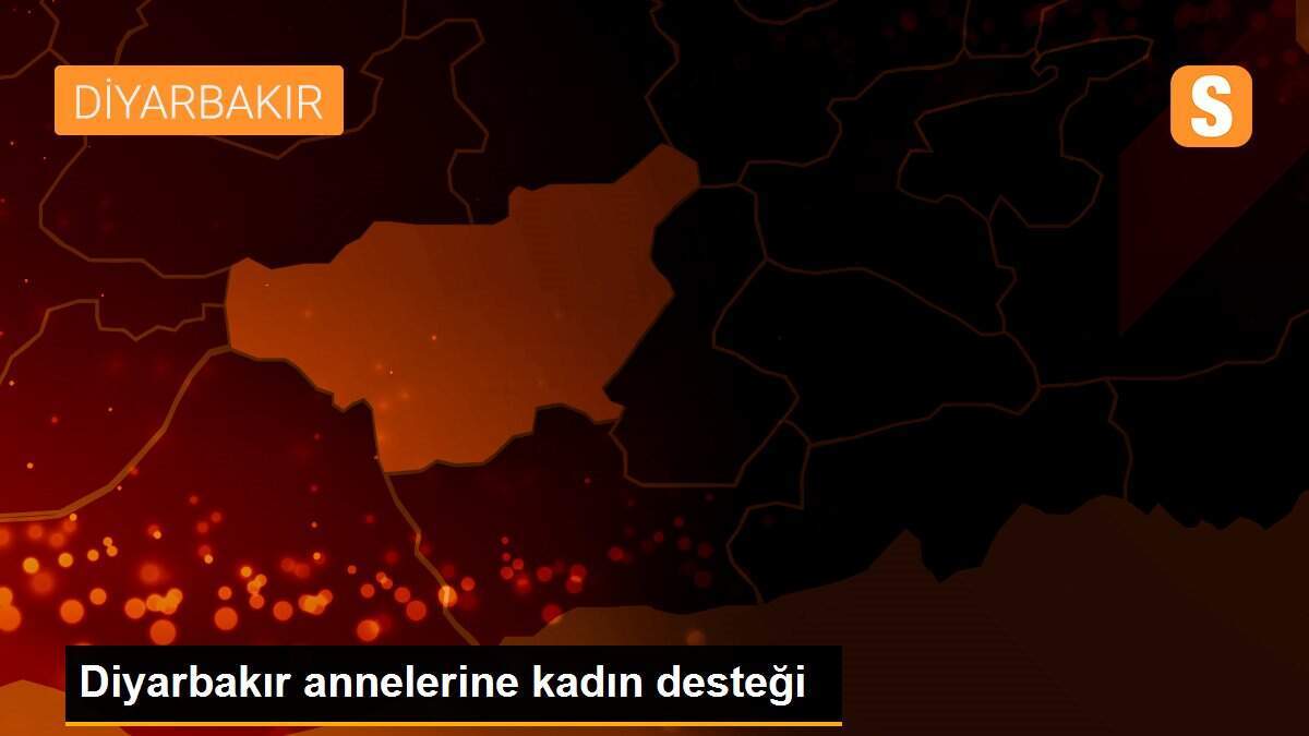 Diyarbakır annelerine kadın desteği
