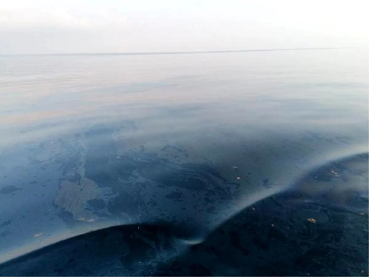 Foça\'da denizde paniğe neden olan kirlilik