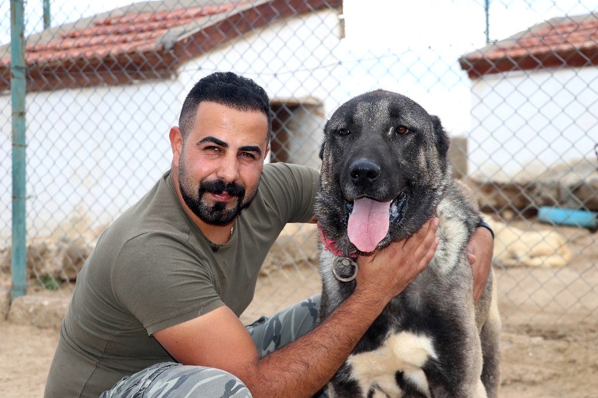 Lüks bir otomobil fiyatında, değeri dudak uçuklatıyor