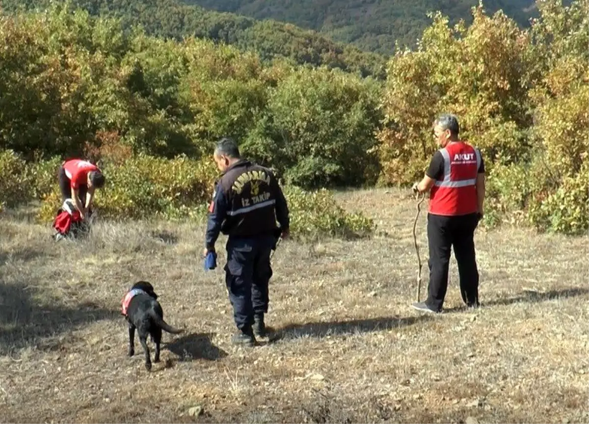 Ormana çıra toplamaya çıktı kendisinden bir daha haber alınamadı