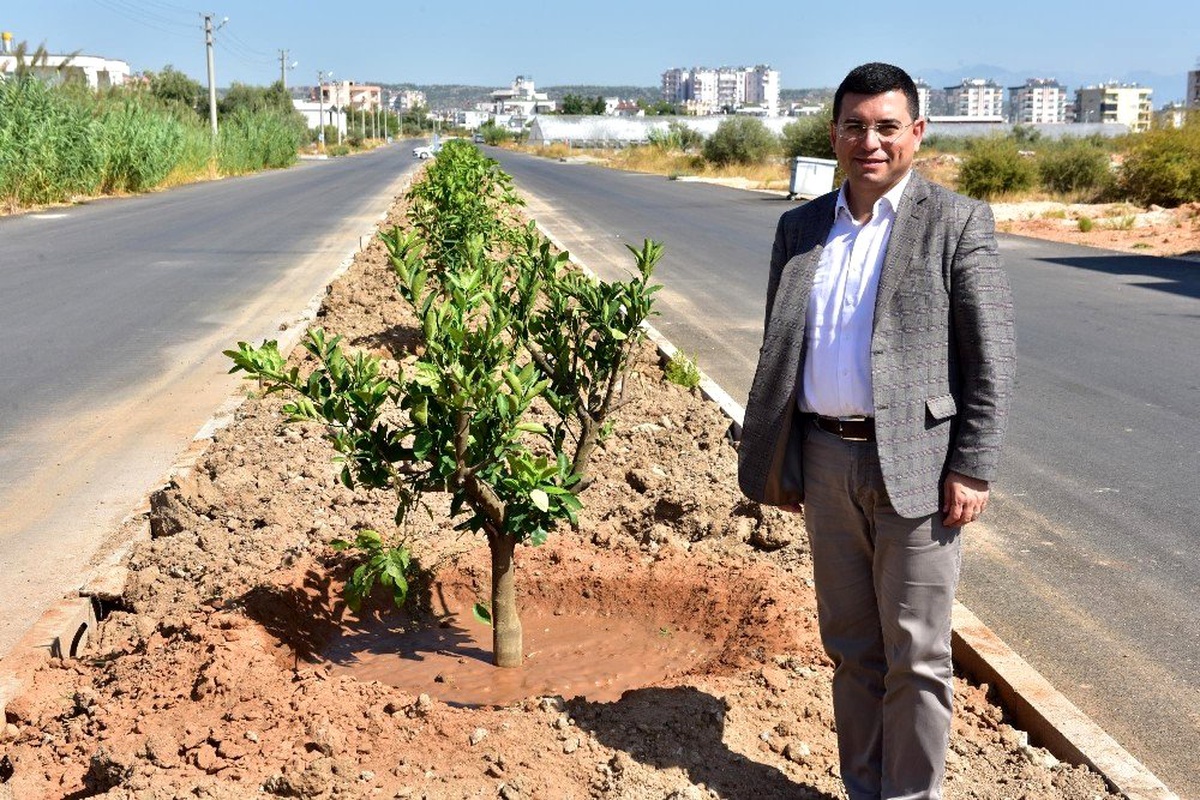 Tütüncü, Kepez\'in Yeşil Seferberliği\'ni inceledi