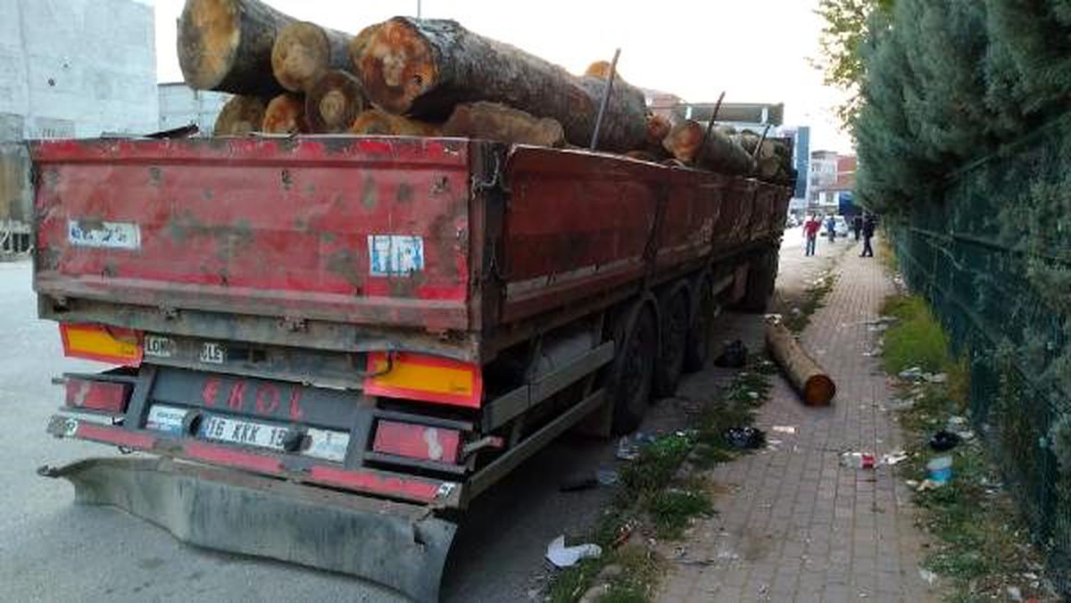 Alkol alırken üzerine 200 kiloluk tomruk düştü