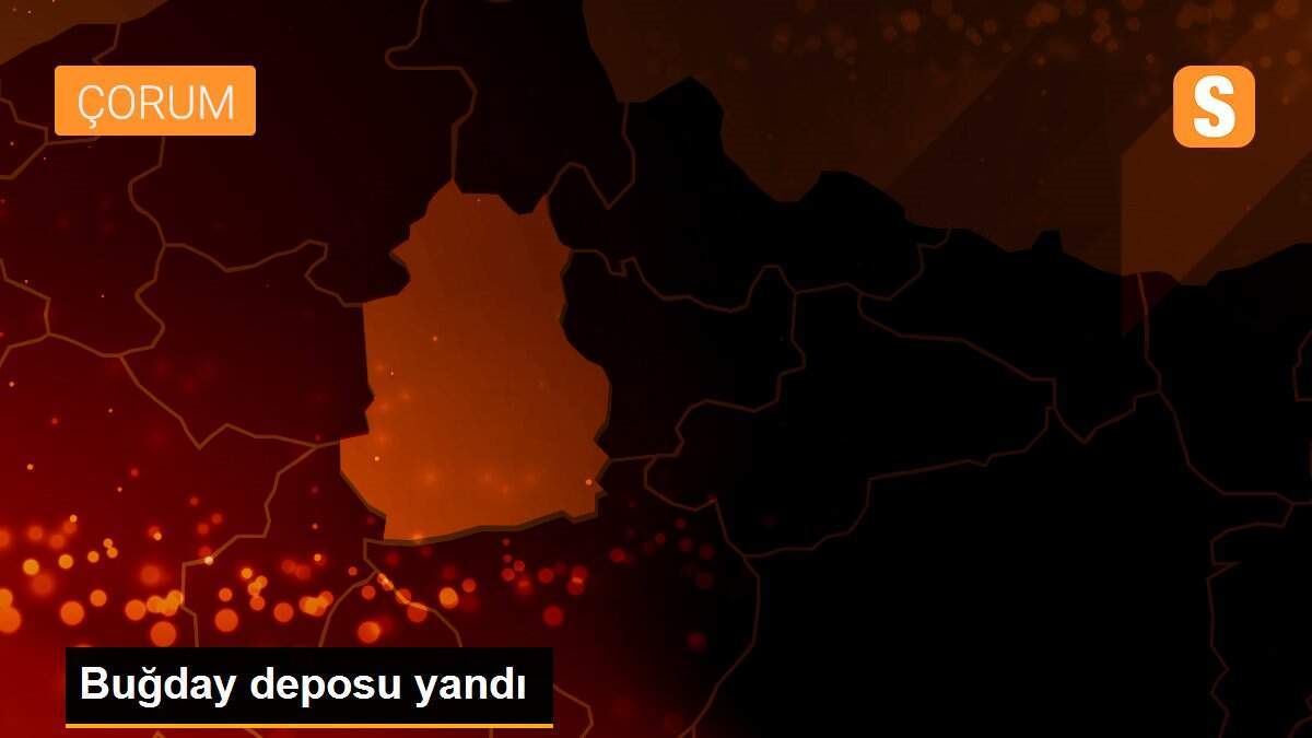 Buğday deposu yandı