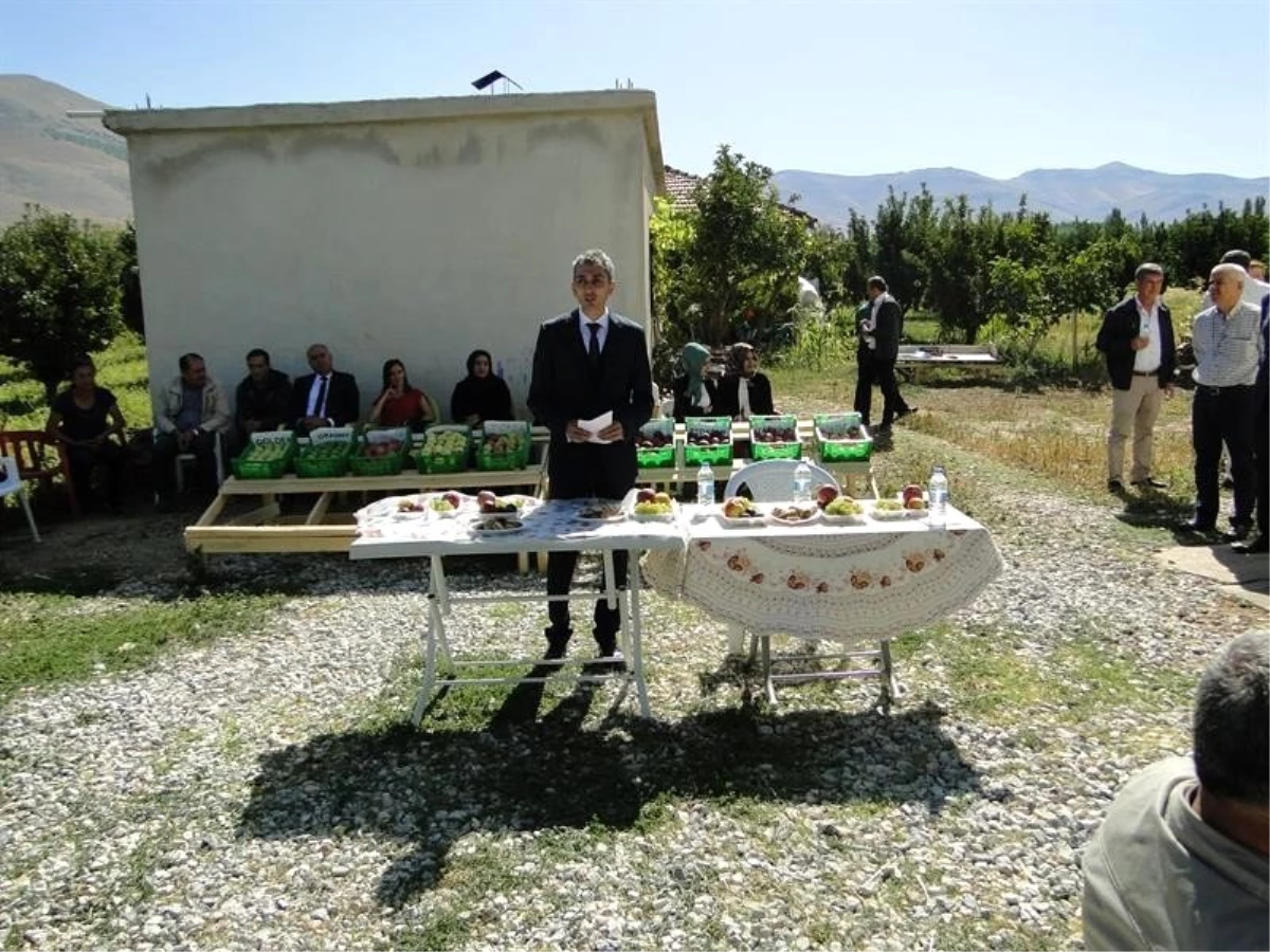Doğanşehir\'de elma hasat günü düzenlendi