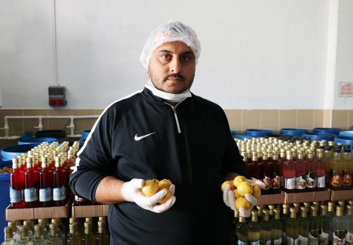 Guava meyvesinden sirke üretiyor
