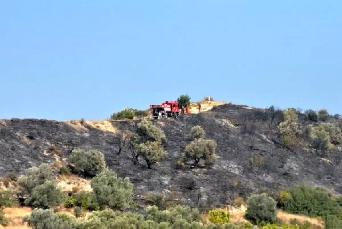 Hatay\'da 5 hektar makilik alan yandı