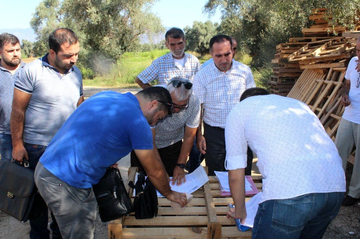 İcraya düşen koyunlar ihaleyle satıldı