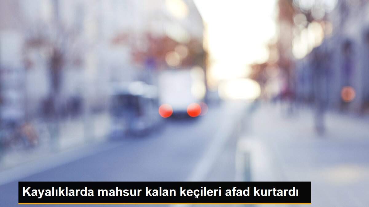 Kayalıklarda mahsur kalan keçileri afad kurtardı