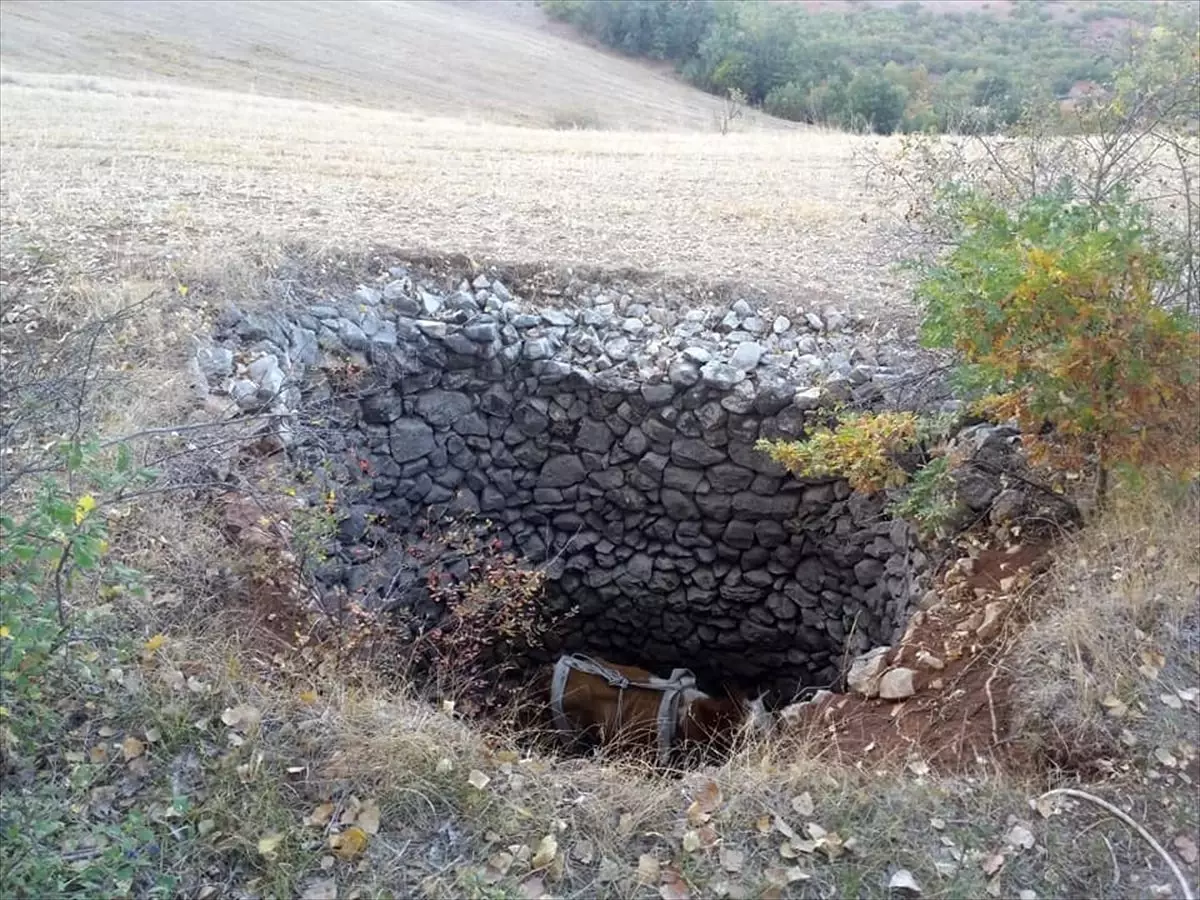 Kuyuya düşen ineği itfaiye kurtardı