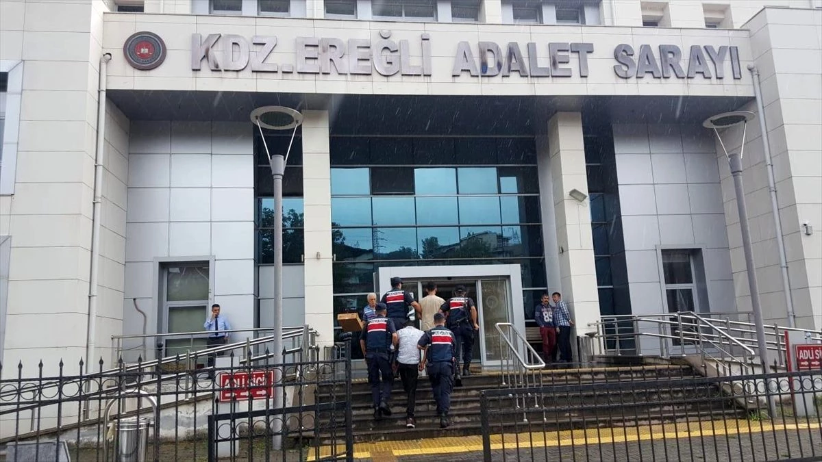 Zonguldak\'ta fındık hırsızlığı iddiası