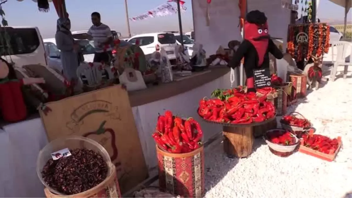 3. Şanlıurfa Lezzetleri ve İsot Festivali