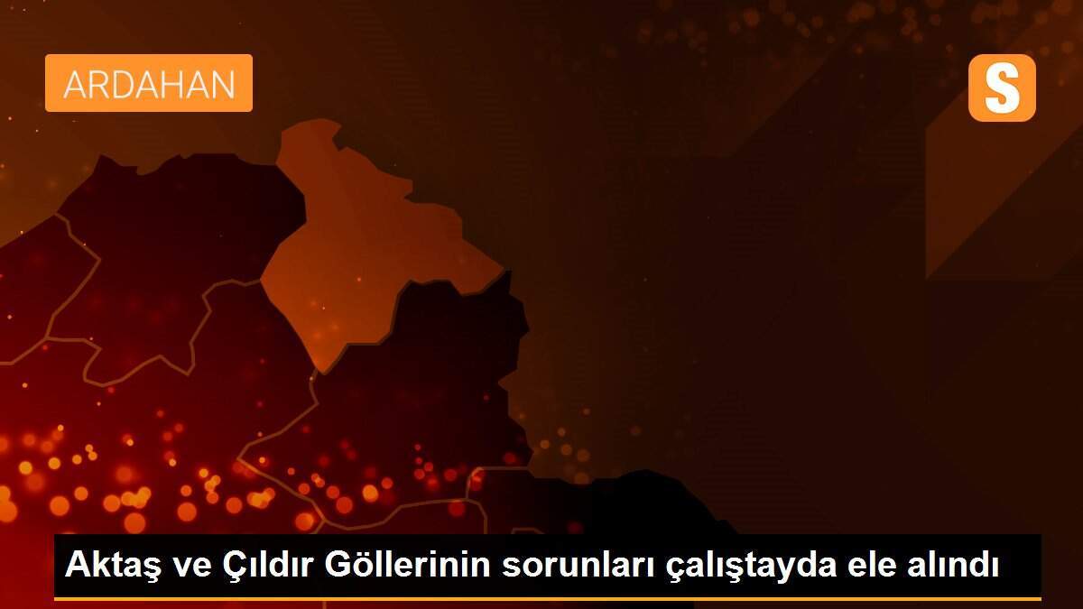 Aktaş ve Çıldır Göllerinin sorunları çalıştayda ele alındı