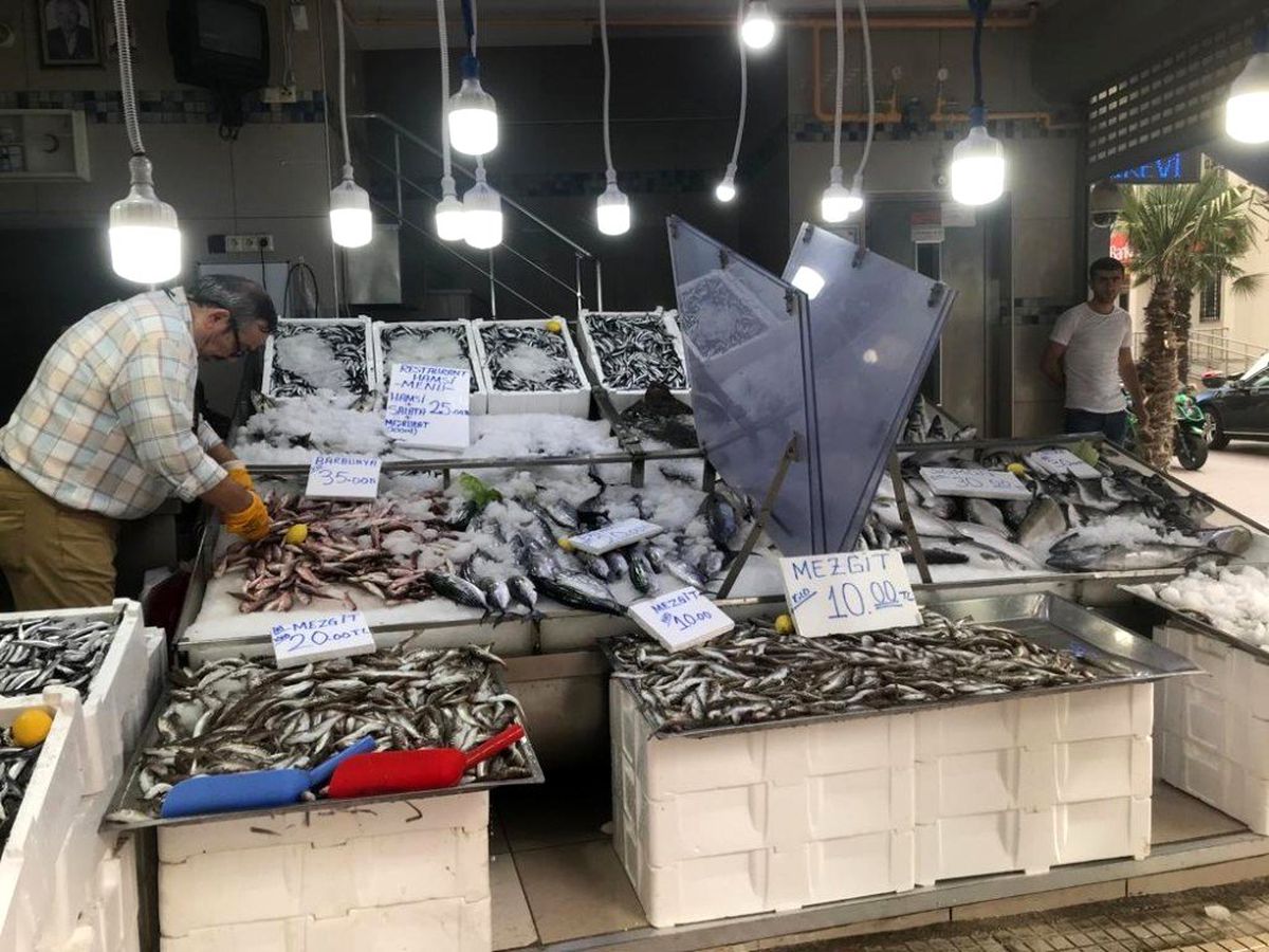 Balık tezgahları şenlendi