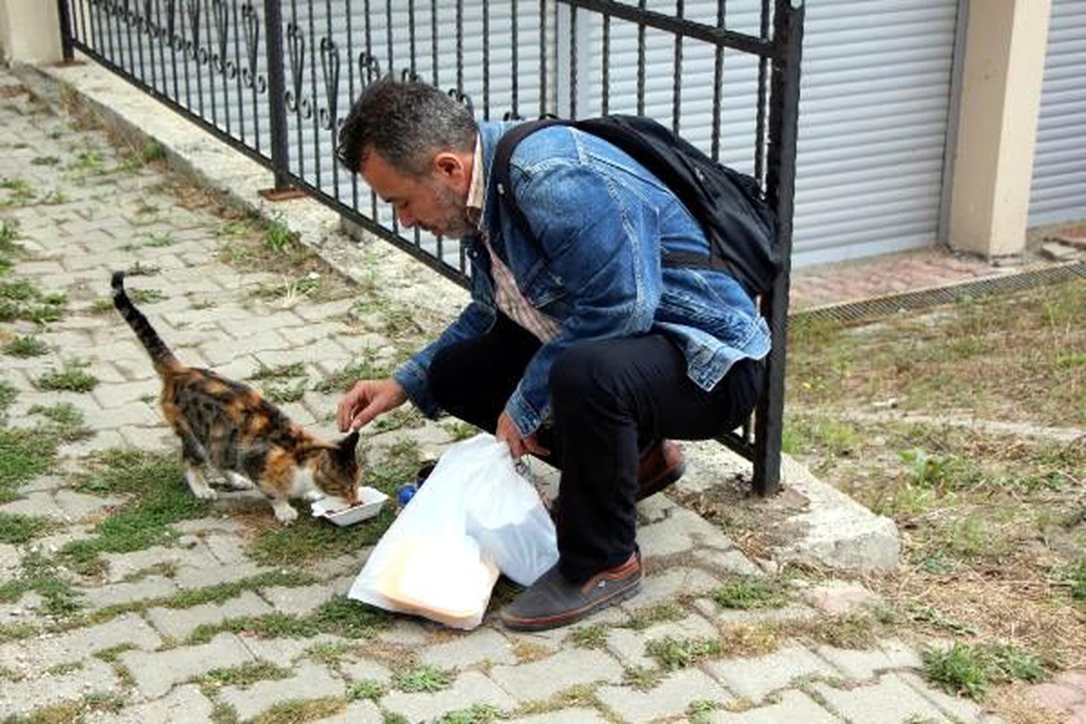 Besledikleri kedileri için \'komşu zehirledi\' iddiası