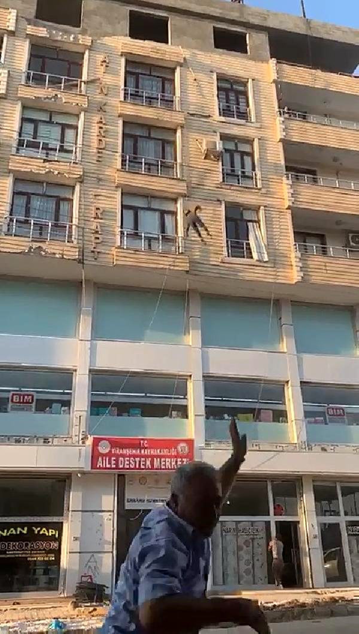 Çiğdem, yaşama tutunamadı