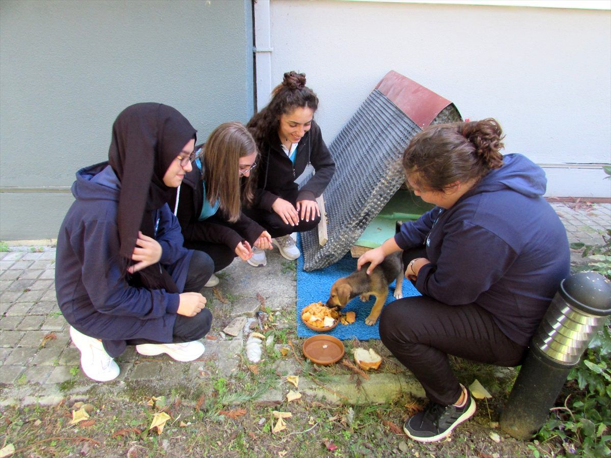 Hayvan sevgisi aşılamak için okulda köpek bakıyorlar