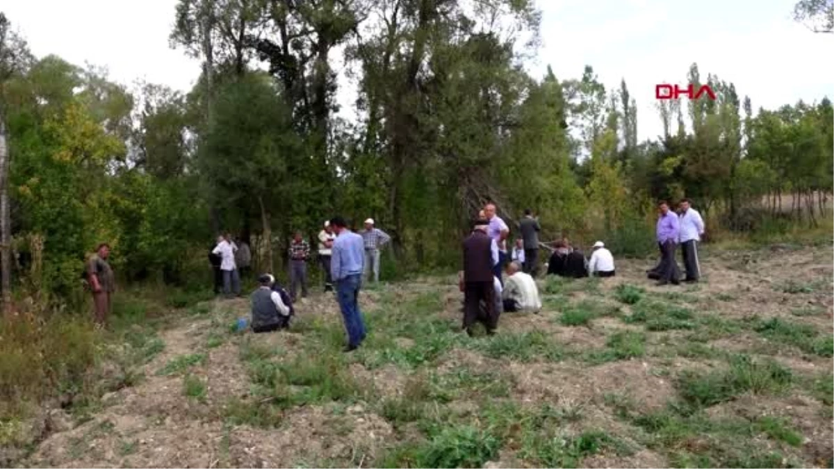 Kestiği ağacın altında kalarak öldü