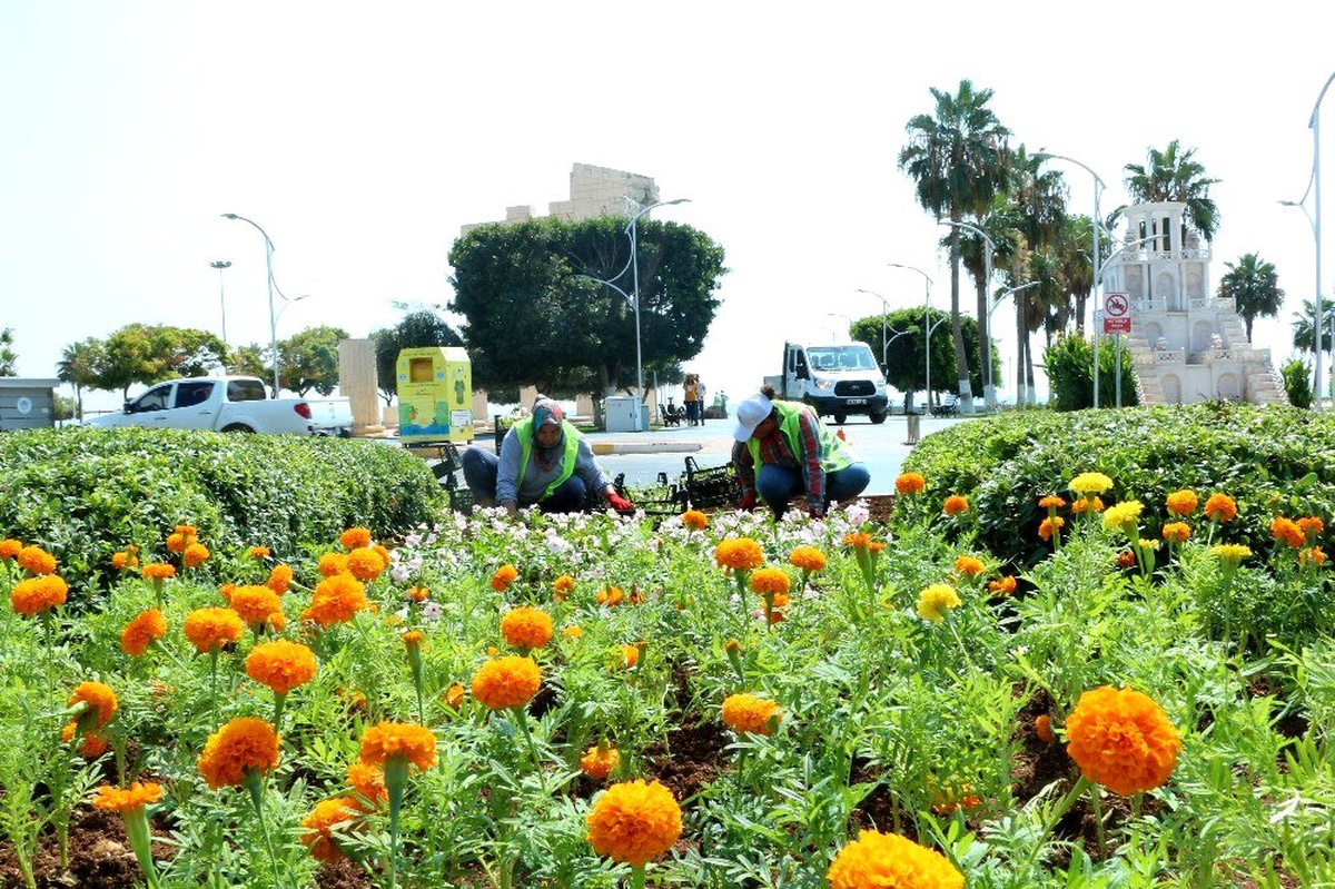Mersin Büyükşehir Belediyesi 100 kadını istihdam edecek