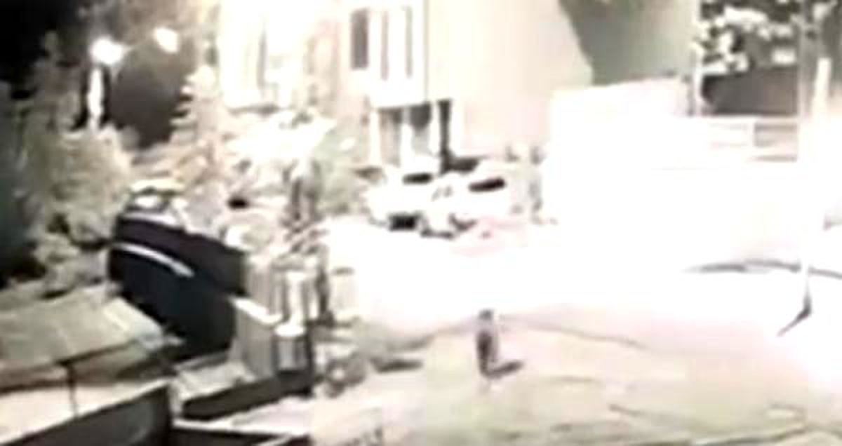 Okulun bahçesine giren ayı güvenlik kamerasında