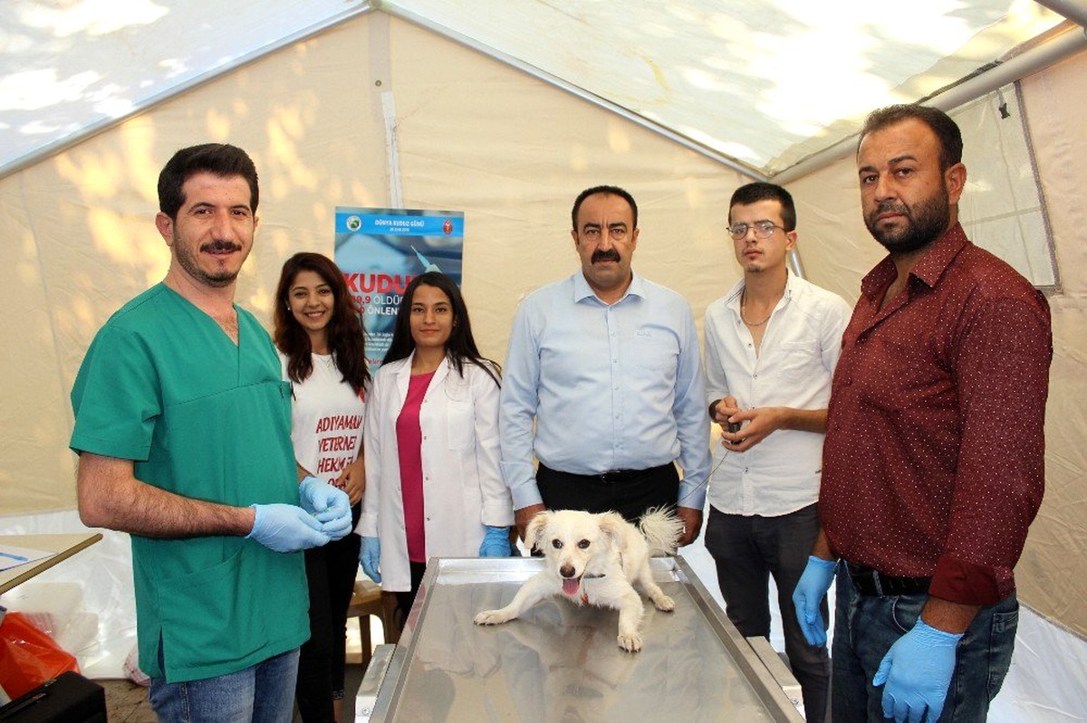Sahipli ve sahipsiz hayvanlara kuduz aşısı