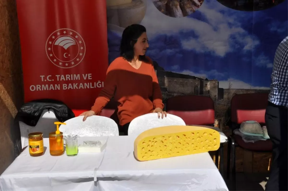 Yöresel Peynirler Buluşması\'na Gravyer Peyniri damga vurdu